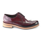 Selim Patent Perforated Wingtip Brogue Derby // Bordeaux (Euro: 41)
