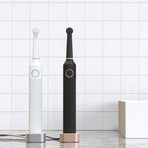 Wall Street Collection + 4 Pack Brush Heads // Black