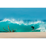 Caribbean Surfer (14"W x 11"H)