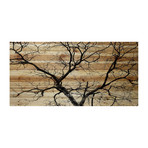 Sprouting Branches Painting Print // Natural Pine Wood (18"W x 12"H x 1.5"D)