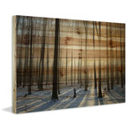 Tree Trunk Shine Painting Print // Natural Pine Wood (18"W x 12"H x 1.5"D)