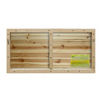 Sprouting Branches Painting Print // Natural Pine Wood (18"W x 12"H x 1.5"D)
