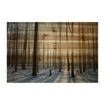 Tree Trunk Shine Painting Print // Natural Pine Wood (18"W x 12"H x 1.5"D)