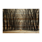 Light at the End of Tree Tunnel Painting Print // Natural Pine Wood (18"W x 12"H x 1.5"D)