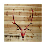 Angry Red Antlers Painting Print // Natural Pine Wood (18"W x 18"H x 1.5"D)
