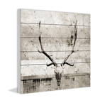 Greyscale Antlers Painting Print // White Wood (18"W x 18"H x 1.5"D)