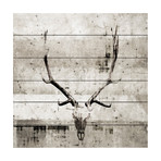 Greyscale Antlers Painting Print // White Wood (18"W x 18"H x 1.5"D)