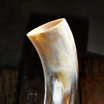Polished Short Buffalo Drinking Horn + Stand