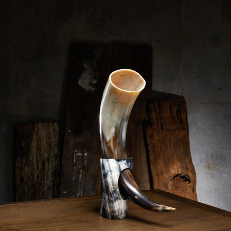 Polished Short Buffalo Drinking Horn + Stand
