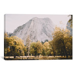 Autumn In Yosemite (26"W x 18"H x .75"D)
