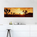 Sunset Joshua Tree Park (36"W x 12"H x 0.75"D)