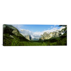 Yosemite National Park, CA, USA (36"W x 12"H x 0.75"D)