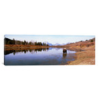 Bull Moose Grand Teton National Park (36"W x 12"H x 0.75"D)