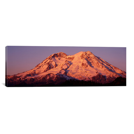 USA, Washington, Mount Rainier National Park // Panoramic Images (36"W x 12"H x 0.75"D)