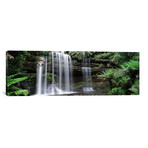 Waterfall in a forest, Russell Falls, Mt Field National Park, Tasmania, Australia // Panoramic Images (60"W x 20"H x 0.75"D)