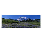 Wildflowers on a Landscape (36"W x 12"H x 0.75"D)