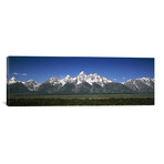 Trees in a Forest (36"W x 12"H x 0.75"D)