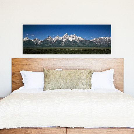 Trees in a Forest (36"W x 12"H x 0.75"D)