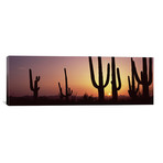 Saguaro Cacti Silhouette (36"W x 12"H x 0.75"D)