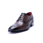 Perforated Wingtip Oxford Brogue // Antique Brown (Euro: 42)
