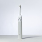 Wall Street Collection + 4 Pack Brush Heads // White