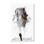 Shadow Collection // Gandalf // Stretched Canvas (16"W x 24"H x 1.5"D)