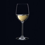 Wine // Chardonnay // Set of 8