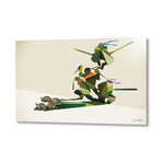 Walking Shadow // Turtles (24"W x 16"H x .045"D // Aluminum Print)