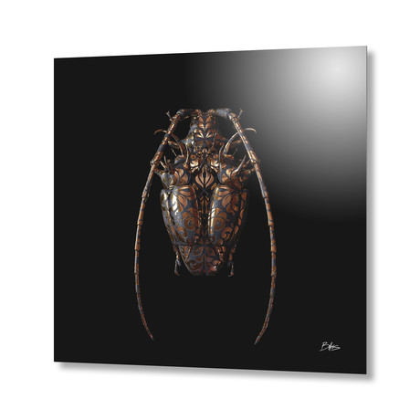 Engraved Entomology G // Aluminum Print (16"W x 16"H x 1"D)