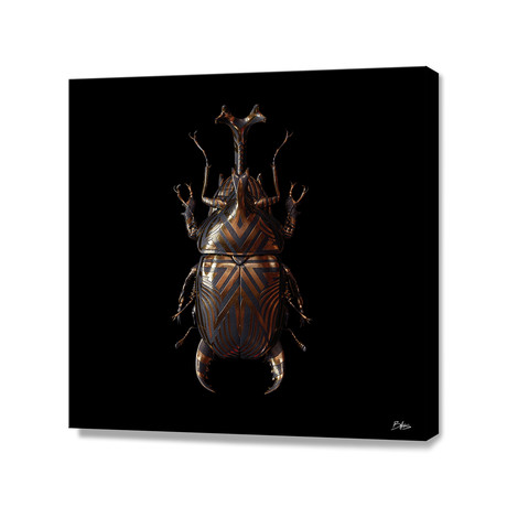 Engraved Entomology A // Stretched Canvas (16"W x 16"H x 1"D)