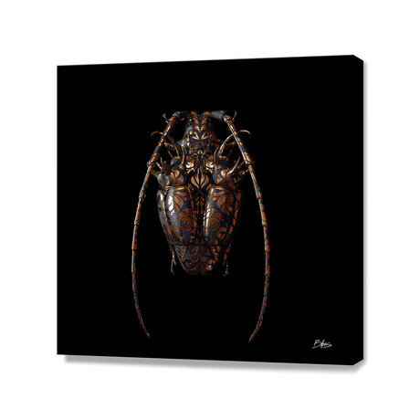 Engraved Entomology G // Stretched Canvas (16"W x 16"H x 1"D)