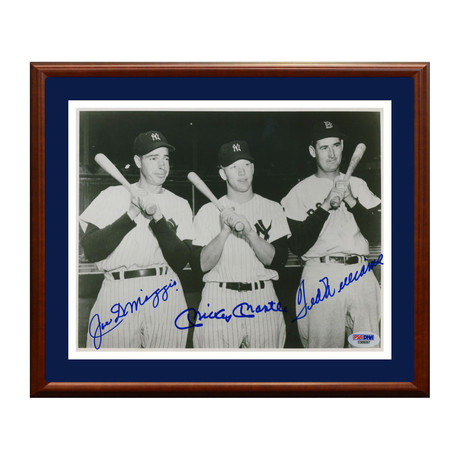 Joe DiMaggio, Mickey Mantle & Ted Williams LIMITED STOCK 8x10 Photo