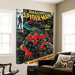 The Amazing Spider-Man Comic Book Cover No.100 // 100th Anniversary Issue