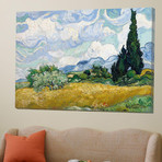 Wheat Field with Cypresses