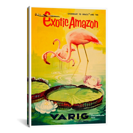 Exotic Amazon // Varig Airlines