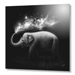 Elephant (16"W x 16"H x 1.5"D // Canvas)