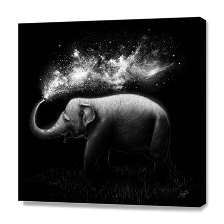 Elephant (16"W x 16"H x 1.5"D // Canvas)