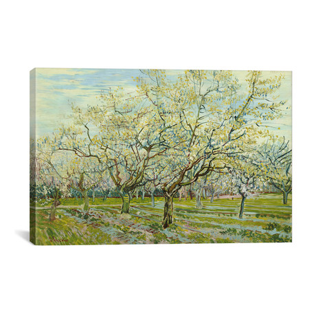 The White Orchard // Vincent van Gogh (26"W x 18"H x 0.75"D)