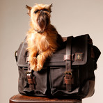 Haversack (Swamp Green)