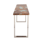 Teak Resin Stainless Steel Console Table