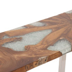 Teak Resin Stainless Steel Console Table