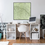 Aerial Earth Green // Canvas (12"W x 12"H x 1.5"D)