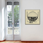 Zenith Globe // Canvas (12"W x 12"H x 1.5"D)