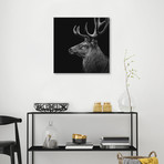 Deer // Lukas Holas (18"W x 18"H x 0.75"D)