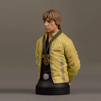 Luke Skywalker Mini Bust