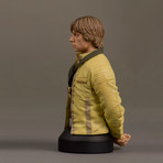 Luke Skywalker Mini Bust