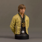 Luke Skywalker Mini Bust