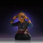 Maz Kanata Mini Bust