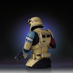 Shoretrooper Mini Bust