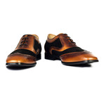 Color Blocked Wingtip Brogue Oxford // Brown + Black (Euro: 44)